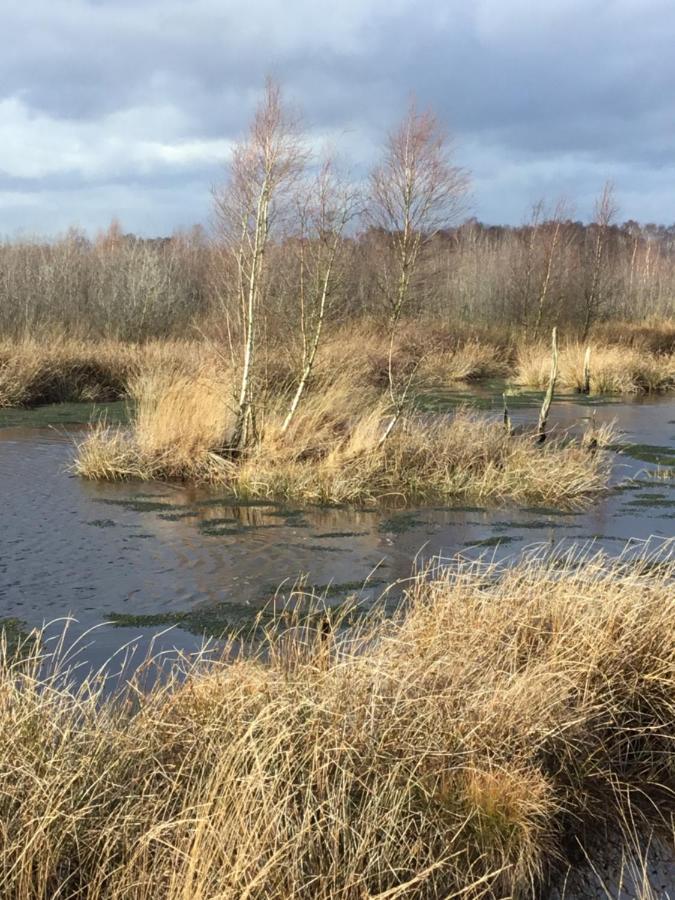 Kranich-Holzferienhaus 'Kleine Auszeit' Rehden Zewnętrze zdjęcie