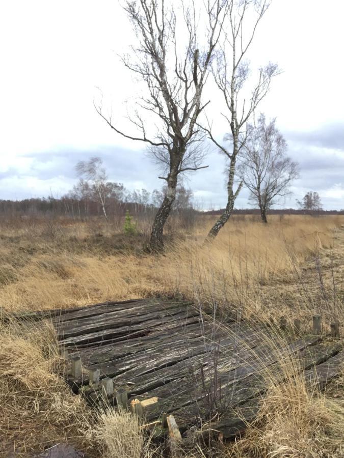 Kranich-Holzferienhaus 'Kleine Auszeit' Rehden Zewnętrze zdjęcie