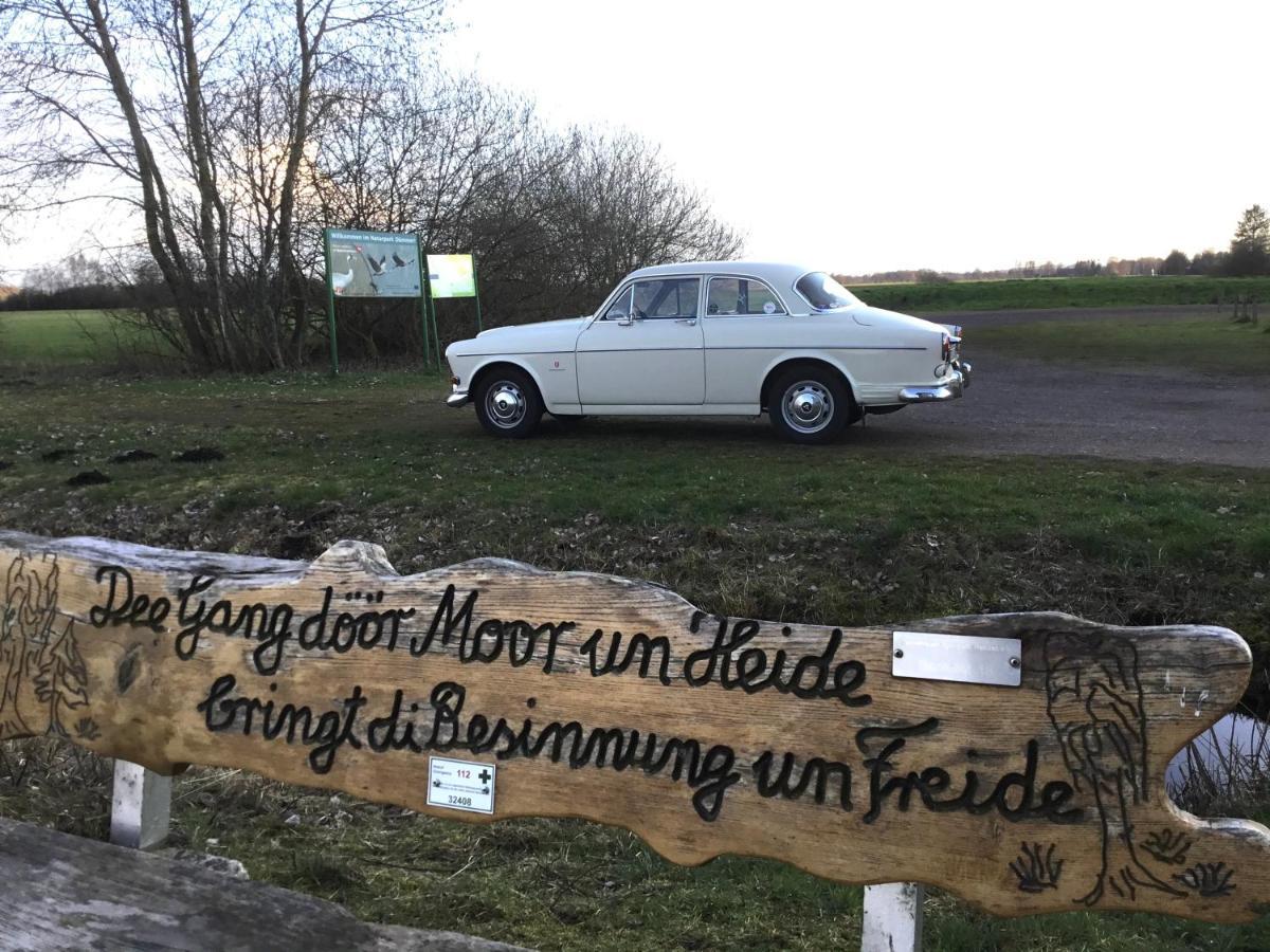 Kranich-Holzferienhaus 'Kleine Auszeit' Rehden Zewnętrze zdjęcie